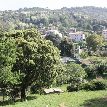 Апартаменты A Cardiccia Loc Saisonnieres Piana Пьяна Экстерьер фото